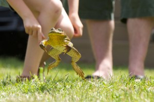 137637_Planters_Days_35382